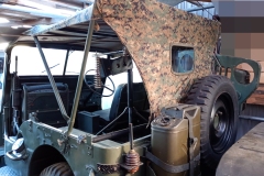 IMG_20251129_143753902_MFNR